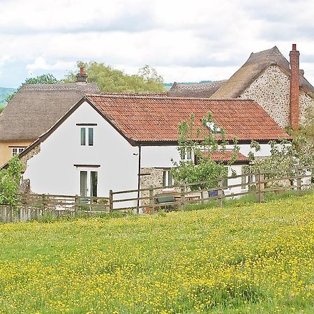 Old Orchard Cottage Colyton Exterior foto