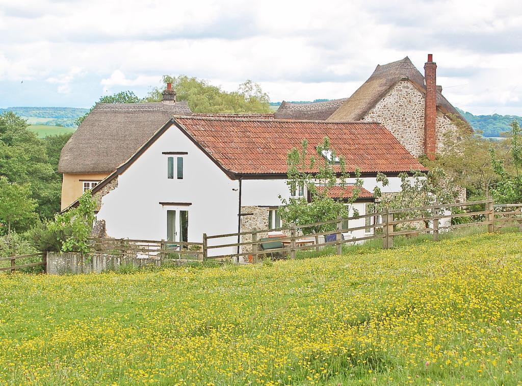 Old Orchard Cottage Colyton Exterior foto